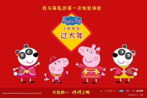 爱尔兰签证作假